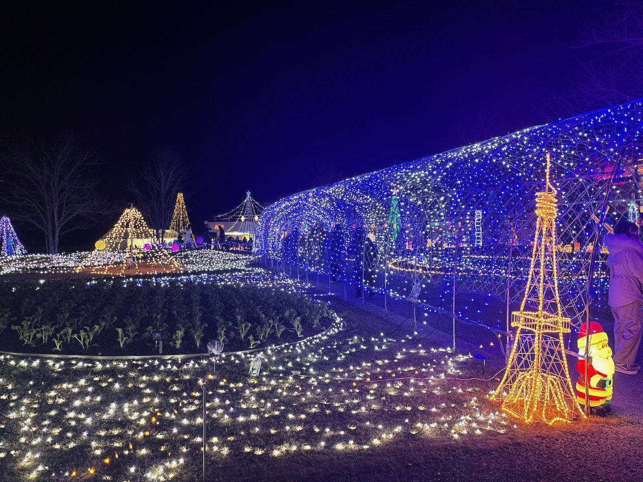 🌷 효고 현립 플라워 센터 (효고켄리츠 후라와센타) 이미지 11